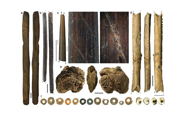 Предметы, обнаруженные в Пограничной пещере: a) палка-копалка (возраст 40–38 тысяч лет); b) приспособление для нанесения яда (возраст 24,5 – 24 тысячи лет); c) костяной наконечник стрелы со следами красного пигмента; d) кости с насечками; e) кусок воска (возраст 41–39 тысяч лет); f) обработанные скорлупа яиц страуса, а также раковины моллюсков (фото d'Errico et al.).