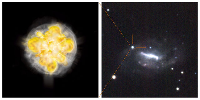 Компьютерная модель (слева) и фотография (справа) взрыва сверхновой SN2009mi, сделанная с помощью телескопа Subaru (иллюстрация National Astronomical Observatory of Japan).