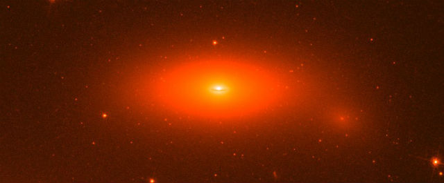 Изображение галактики NGC 1277, полученное телескопом "Хаббл" (иллюстрация NASA/ESA/Andrew C. Fabian).