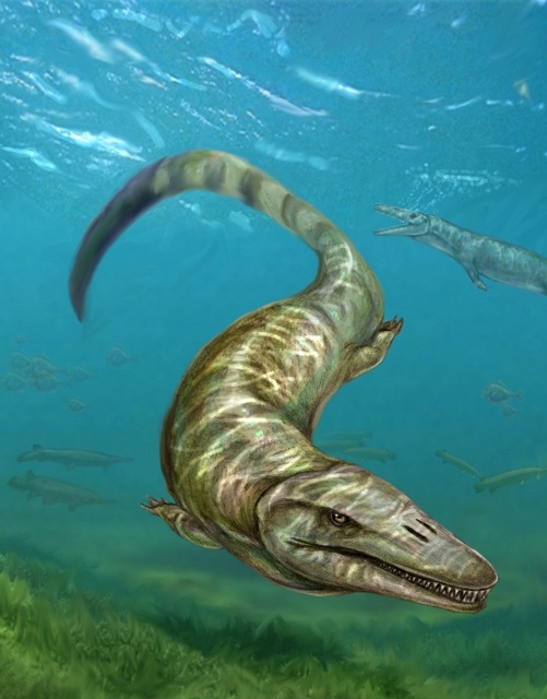 Внешний вид Pannoniasaurus inexpectatus в представлении молодого палеоиллюстратора Тибора Печича (иллюстрация Tibor Pecsics).