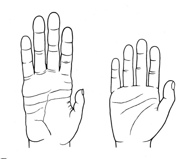 Человеческая ладонь (справа) по сравнению с ладонью шимпанзе (слева) (иллюстрация Denise Morgan, University of Utah).