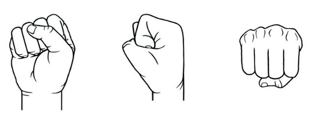 На рисунке представлено оптимальное расположение пальцев в кулаке для нанесение наиболее мощного и точного удара (иллюстрация Denise Morgan, University of Utah).