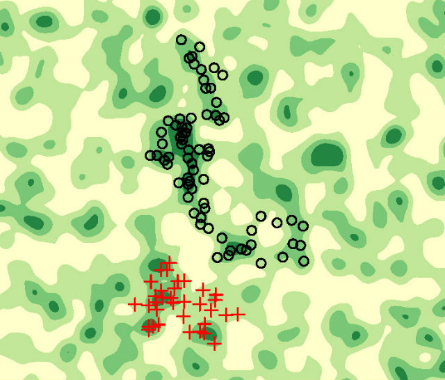 Схема изученного участка неба, отражающая количество квазаров (зелёные пятна). Исследованная гигантская группа (чёрные окружности) соседствует с меньшей по размеру структурой (красные кресты) 