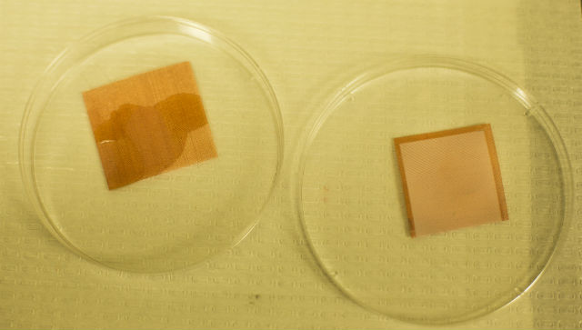 Лист без покрытия промок (слева), а покрытый омнифобным материалом остался сухим (справа) (фото Joseph Xu).