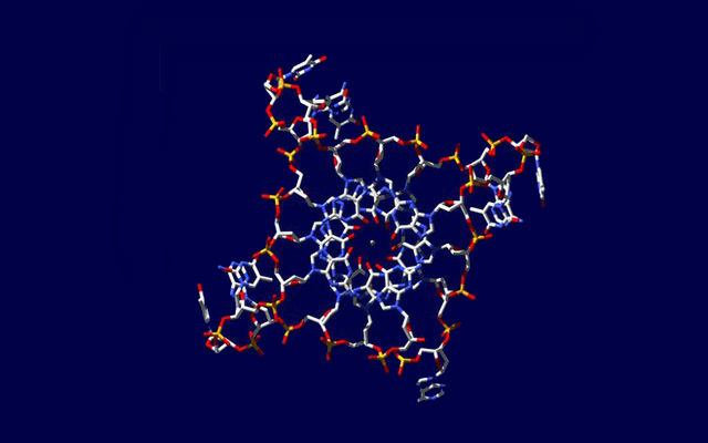 Структура ДНК из четырёх нитей (иллюстрация Jean-Paul Rodriguez, Giulia Biffi).