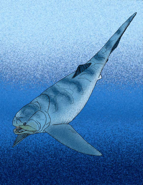Панцирная рыба в представлении художника (иллюстрация Apokryltaros/Wikimedia Commons). 