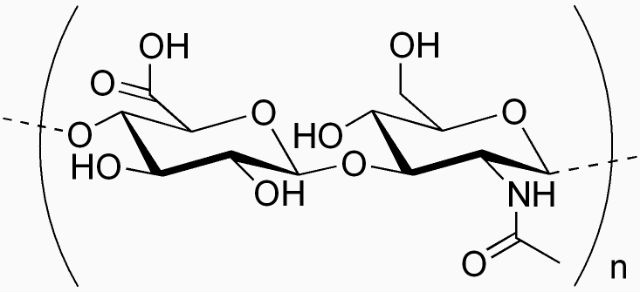Молекулярная структура гиалуроновой кислоты, содержащейся в межклеточном матриксе всех животных (иллюстрация Wikimedia Commons). 