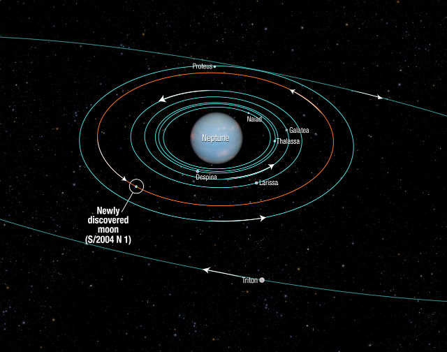 Здесь показаны орбиты всех ближайших к Нептуну лун (все они были открыты аппаратом "Вояджер-2"), а также нового спутника, который обнаружил телескоп "Хаббл" (иллюстрация NASA, ESA, M. Showalter/SETI Institute).