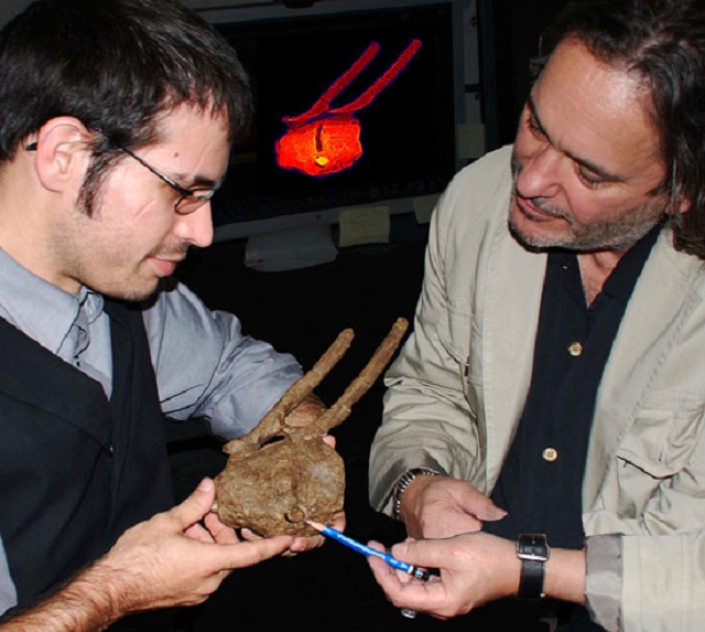 Палеонтологи Роберт ДеПальма и Дэвид Бёрнхэм обсуждают находку (фото Fallon Elaine Cohen).