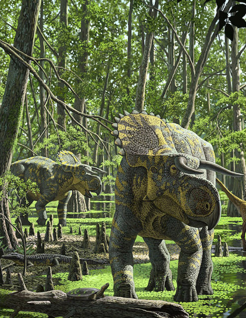 Nasutoceratops titusi в представлении художника (иллюстрация Raul Martin). 