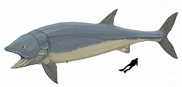 Лидсихтис достигал в длину 16,5 метров, что делает его крупнейшим представителем костных рыб, когда-либо обитавших  на Земле (иллюстрация Dmitry Bogdanov / Wikimedia Commons).