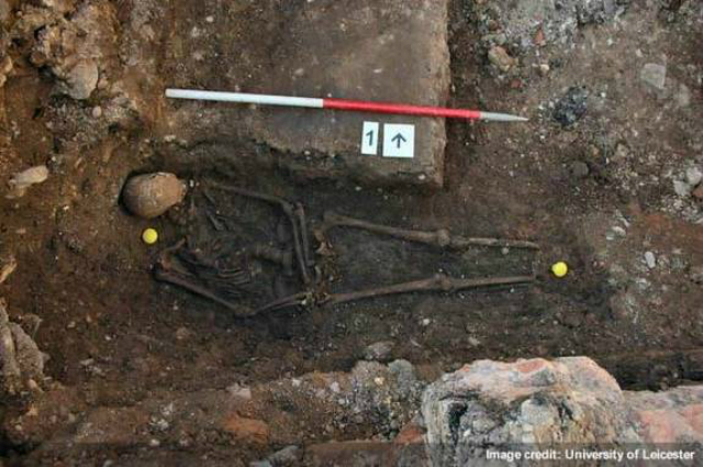 На останках Ричарда III, найденных в сентябре 2012 года, отчётливо видны травмы, полученные королём в бою, а также, что у монарха был сильно искривлён позвоночник (фото University of Leicester).