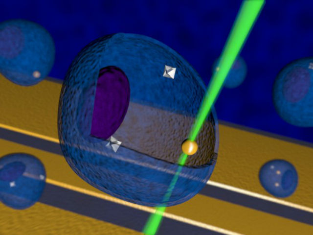Зелёный луч лазера направили на частицу золота, чтобы та нагрела соседствующую область. В данном случае наноалмазы (обозначены серым) играют роль сверхчувствительных термометров (иллюстрация Georg Kucsko). 