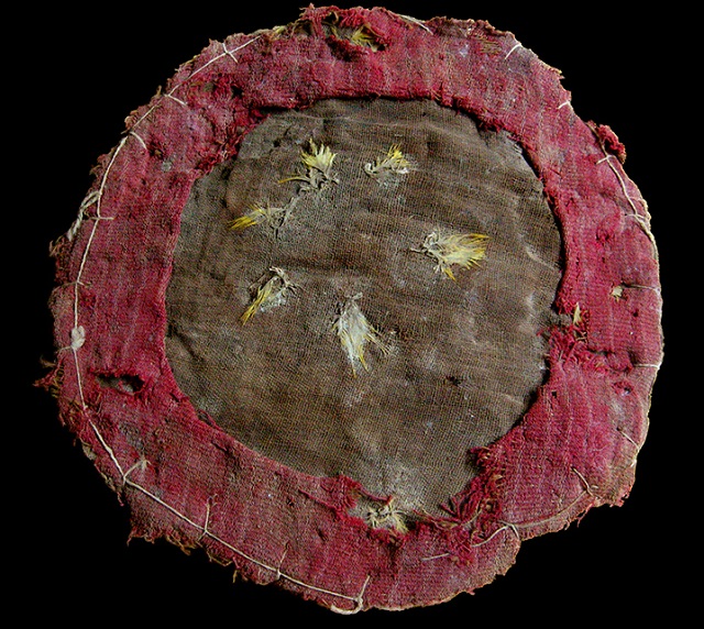 Возраст оперённого щита составляет не менее 1300 лет (фото Lisa Trever/University of California Berkeley).