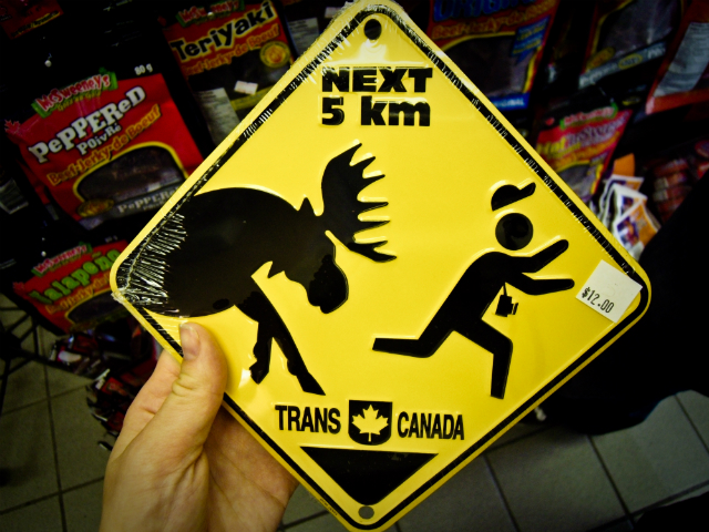 Как правило, водители игнорируют обычные жёлтые предупреждающие знаки (фото Samantha Marx/Flickr). 