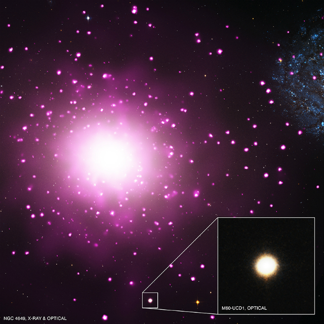 Возможно, M60-UCD1 – наиболее плотная галактика из всех, что расположены в ближней к нам Вселенной. Здесь показано составное изображение M60 и области вокруг неё, полученное с помощью данных обсерватории "Чандра". На врезке крупным планом вид M60-UCD1 (иллюстрация X-ray: NASA/CXC/J).