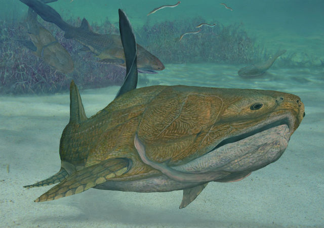 Рыба вида E. primordialis в представлении художника (иллюстрация Brian Choo). 