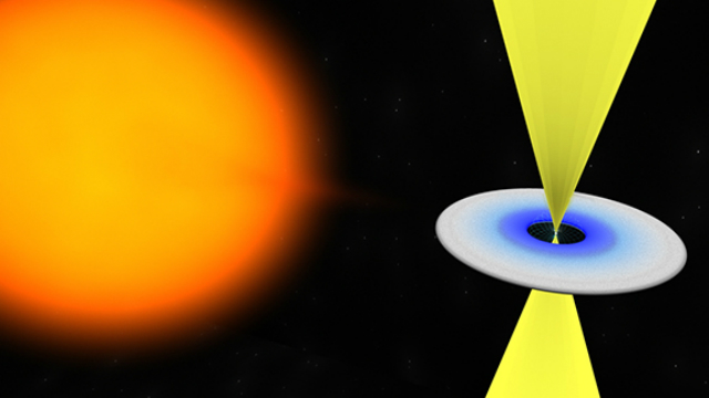 После окончания периода аккреции нейтронная звезда излучает радиоимпульсы (иллюстрация Bill Saxton; NRAO/AUI/NSF).