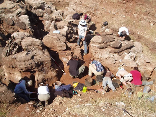 Копролиты располагались в известняковой пещере Глэдисваль на территории так называемой Колыбели человечества (фото Profberger/Wikimedia Commons).
