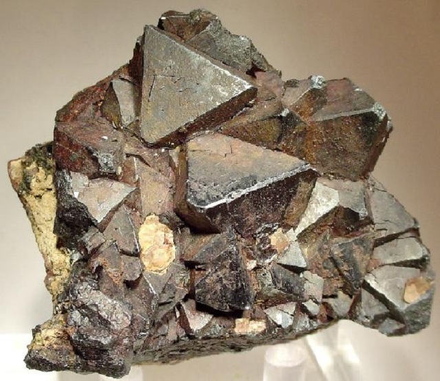 Магнетит — один из наиболее прочных минералов, встречающихся в живых организмах (фото Rob Lavinsky iRocks.com/Wikimedia Commons).