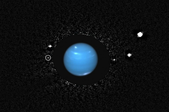 На этом изображении, полученном "Хабблом", видно, что маленькая Наяда находится слева, близко к Нептуну 
