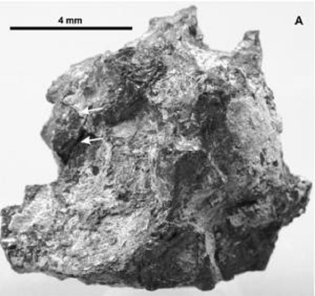 По мнению учёных, находка, сделанная египетским геологом в Ливийской пустыне 17 лет назад, является частью кометы (фото Science Direct).