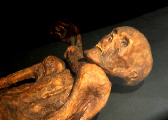 ДНК–экспертиза показала, что 5300-летняя мумия имеет по меньшей мере 19 живых родственников (фото 120/Wikimedia Commons).