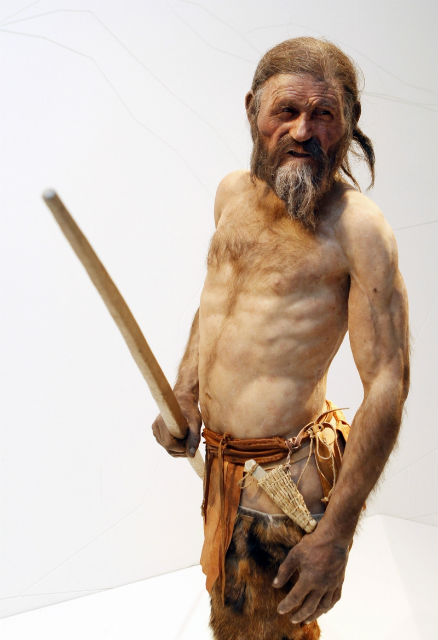 Тирольский человек был небольшого роста, имел светлую кожу, карие глаза и, согласно генетической экспертизе, являлся потомком жителей Корсики или Сардинии (фото Museo Archeologico dell'Alto Adige).