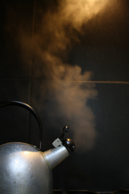Как ни странно, за все годы заваривания чая никто не мог точно объяснить, почему именно чайник свистит (фото followtheseinstructions/flickr).