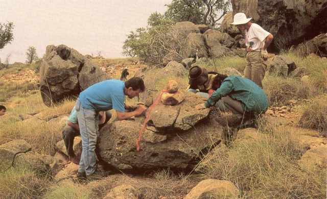 Археологические работы на территории австралийского заповедника окаменелостей Риверслей (фото M. Archer).