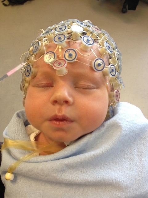 Учёные провели энцефалографию новорожденных в возрасте 8-12 дней (фото UniversitédeMontréal).