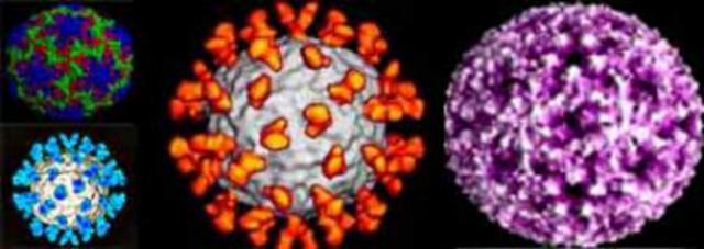 Вирусы способны покрывать себя кварцевым стеклом в целях защиты от неблагоприятной окружающей среды (иллюстрация Astrobio.net). 
