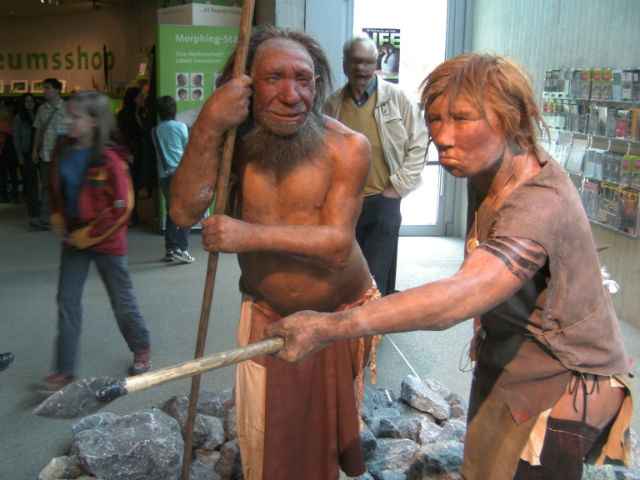 Неандертальцы были крупнее и мускулистее, чем представители вида Homo sapiens, и как следствие, их носы были намного больше (фото UNiesert/Wikimedia Commons). 