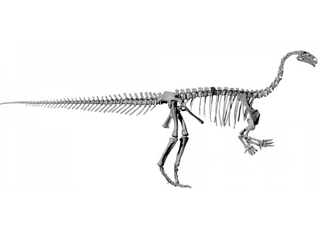 3D-модель платеозавра (иллюстрация Radiology/RSNA).