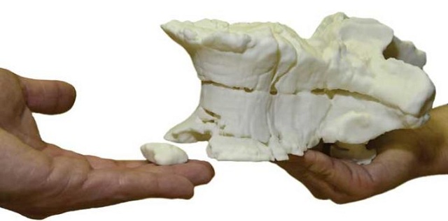 Косточка динозавра, напечатанная на 3D-принтере (фото Radiology/RSNA).