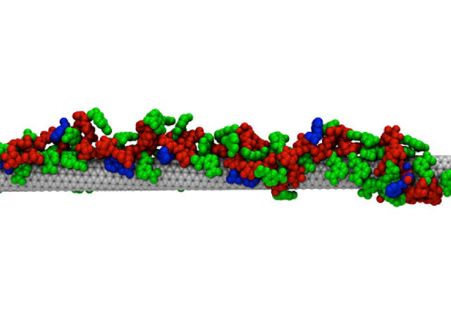 На рисунке изображён молекулярный датчик на основе углеродной нанотрубки и амфифильного полимера для определения рибофлавина (витаин В2), созданный инженерами-химиками MIT (иллюстрация Strano research group/Chemical Engineering, MIT).