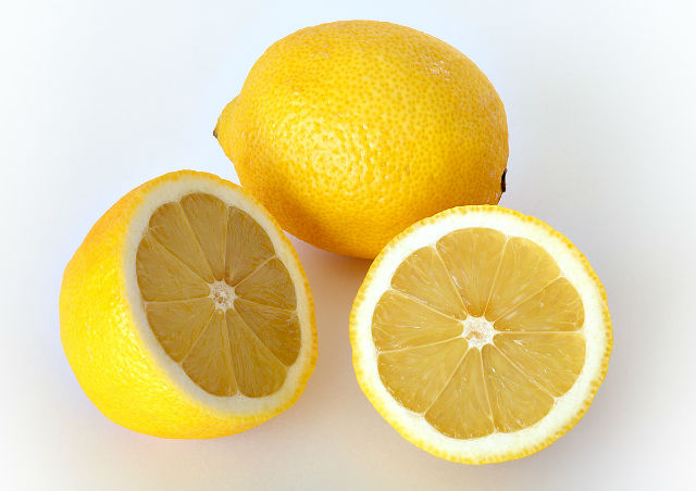 Лимоны сыграли куда более важную роль в эволюции живых организмов, чем считали учёные ранее (фото André Karwath/Wikimedia Commons). 