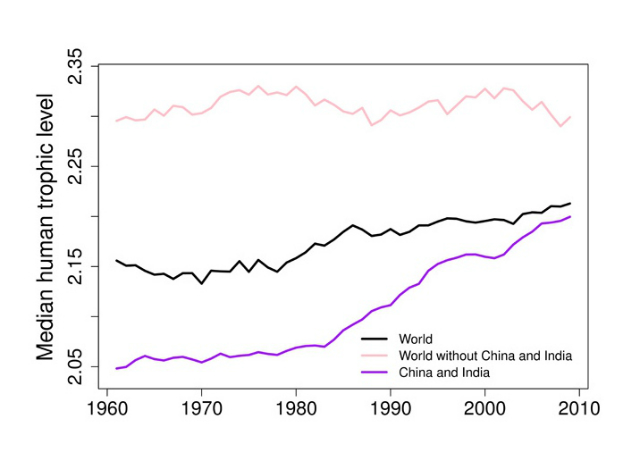 Во всём мире человеческий трофический уровень вырос на 3% с 1961 по 2009 гг., что во многом обусловлено обильным потреблением мяса в Индии и Китае (иллюстрация PNAS). 