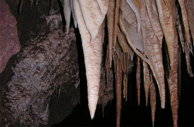Американские учёные обнаружили разнообразные сообщества микроорганизмов в пещерах Картчнера (фото Bob Casavant/Arizona State Park Service)