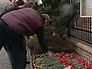 ����� ���, ��� ������ ��������� ������ � �������� �������, ���� ����������