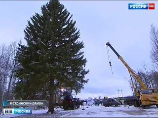 Главная новогодняя елка страны готовится к путешествию в Кремль