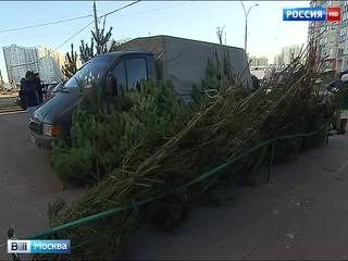 В Москве за неделю закрыты около 70 нелегальных елочных базаров