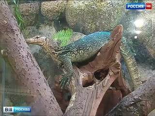 В Москве набирают популярность контактные зоопарки