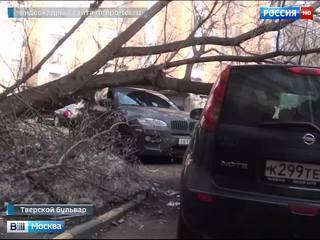На Тверском бульваре в Москве на автомобили упали два дерева