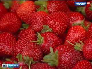 Москва встречает российскую клубнику