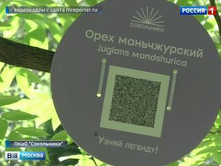 В "Сокольниках" рядом с деревьями появились таблички с QR-кодами