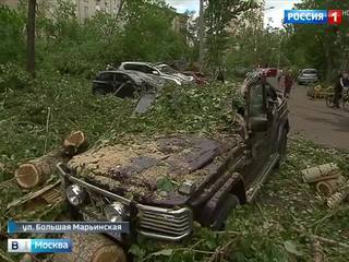Ураган повредил более 120 машин в Москве