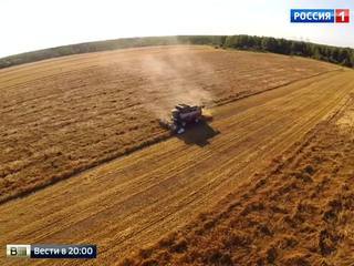 Россию ждет рекордный урожай зерна