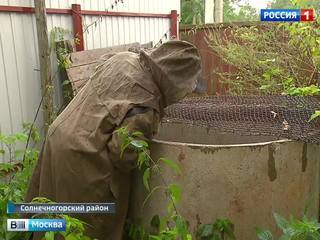 Нелегальные песчаные карьеры лишили воды деревни под Солнечногорском