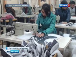 В Подмосковье закрыт подпольный цех по пошиву контрафактной одежды